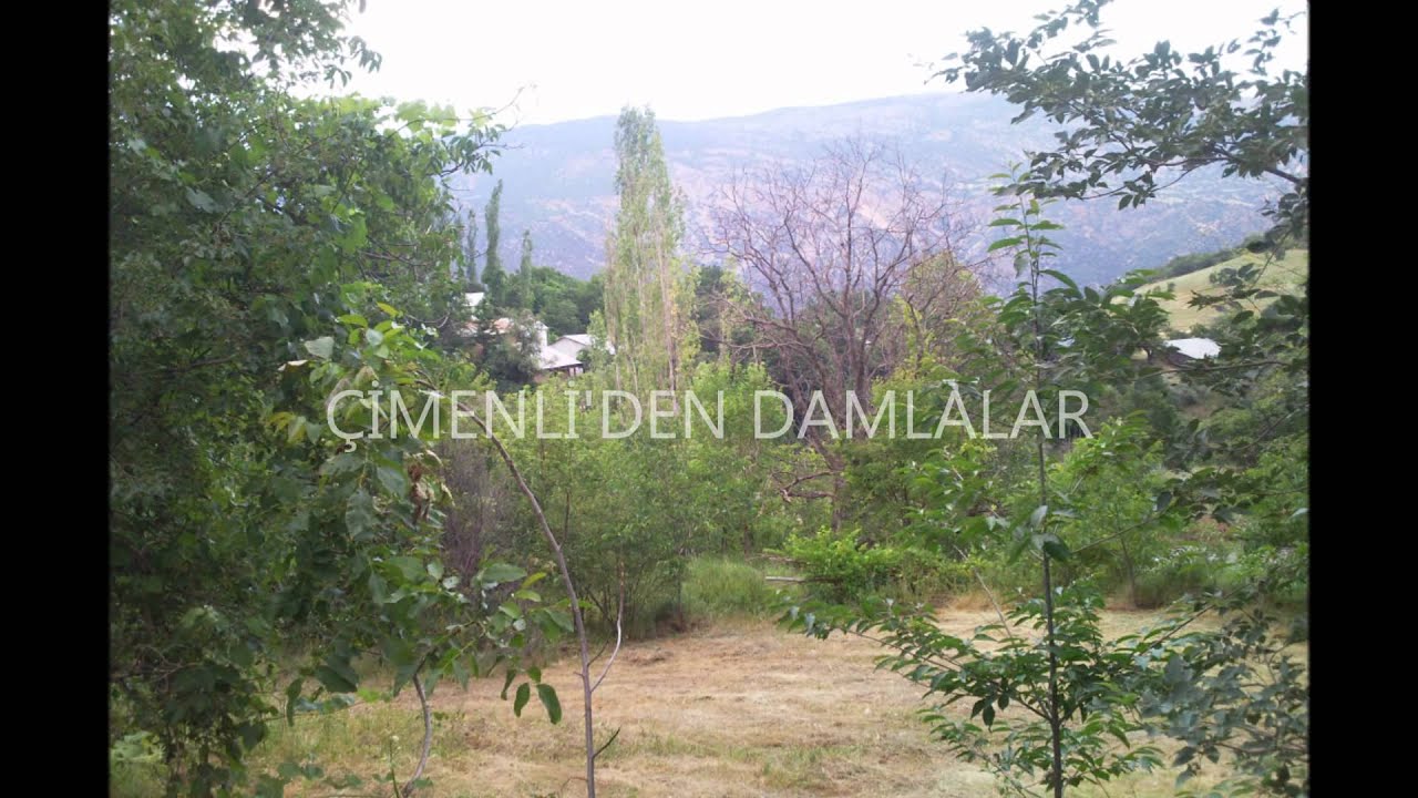 SİVAS KOYULHİSAR ORTASEKİ KÖYÜ ÇİMENLİ MH: DAMLALAR