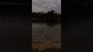 Каждое разочарование открывает глаза но закрывает сердце