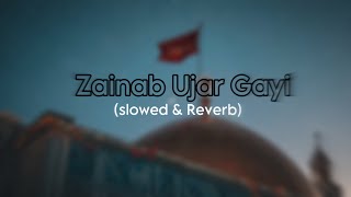 Zainab Ujar Gayi ( Slowed and Reverb ) | islamic slowed reverb | Nadeem Sarwar Ali Jee | Ali Shanwar