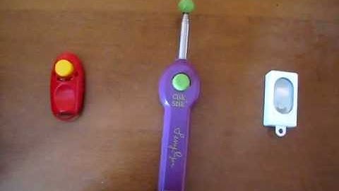 Cat Clicker Training