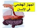 الجهاز الهضمي في الانسان للصف الرابع ترم ثاني