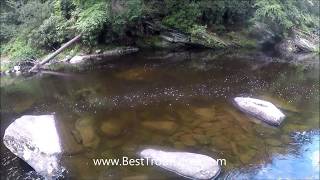 How to Work a  Good Fishing Spot - 20" Brown Trout on Rapala CD7