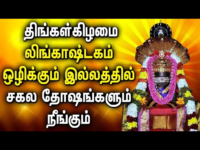 MONDAY SPL LINGASHTAKAM TAMIL DEVOTIONAL SONGS | Lord Shivan Lingashtakam Tamil Bhakti Padalgal class=