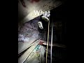 #abandoned #urbanexploration #abandonedplaces #urbex