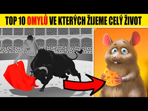 Video: Jsou tyto nejkontroverznější rozhodnutí o rodičovství, které můžete udělat?