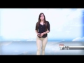 El clima con Fannia Lozano - 2015/06/19