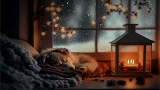 Puppy Sleeping Soundly Through a Blizzard - Cozy Winter Ambience