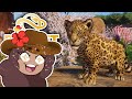 Scientific Breakthroughs with JAGUAR Cubs!! 🦒 Planet Zoo: Sahula Safari • #70