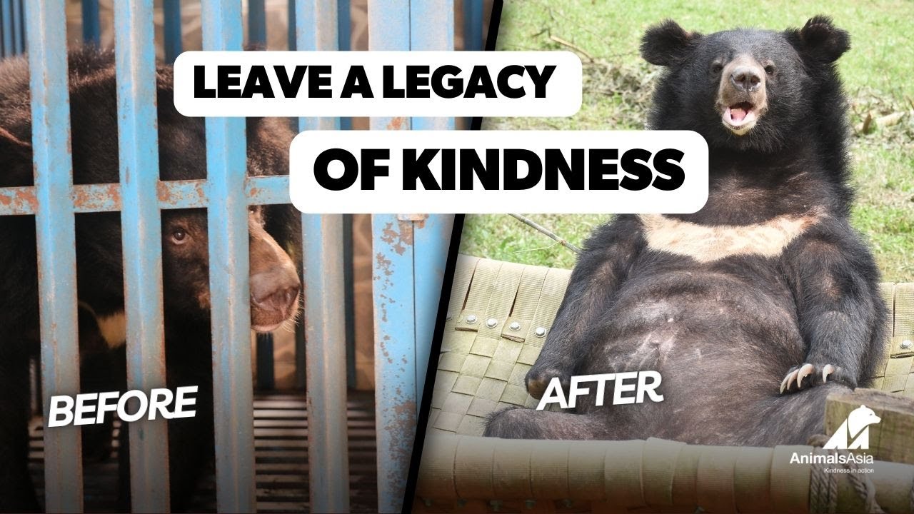 Leave A Legacy of Kindness - A Legacy of Care