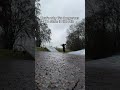 Darum ist es gefährlich im Regen zu Skaten ! #skateboarding #skate #rain #dangerous #shark
