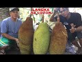 LANGKA SA LUZON (DAMBUHALA) | Biyaherong Batangueno