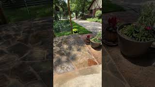 EZ Sand Changed This Patio Fast
Full tutorial here:https://youtu.be/QqRZblJmToQ EZ Sand Changed This Patio Fast