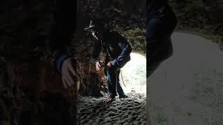 VIRAL !!! TELAH DITEMUKAN ULAR NAGA BERTAPA DI GOA PERTAPAAN KUNO MAJAPAHIT ?!