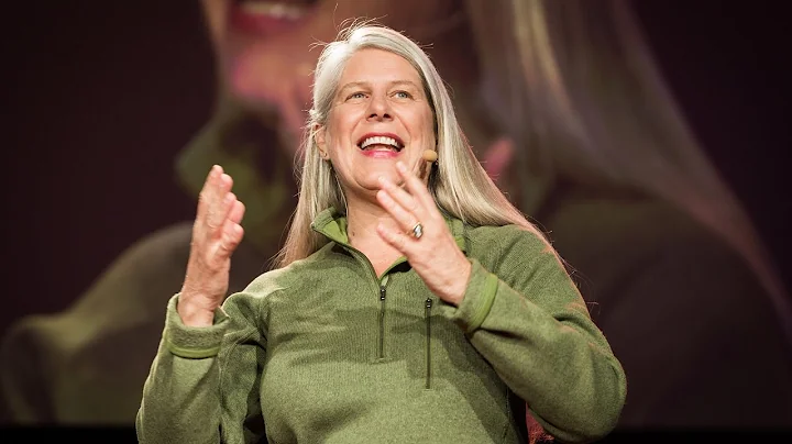 The right brain vs. left brain experience | Jill B...