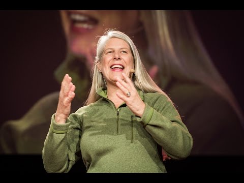 The right brain vs. left brain experience | Jill Bolte Taylor