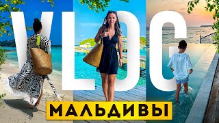 Влог/ Мальдивы. Первый раз на Мальдивах! Лучший отдых. Совсем не скучно