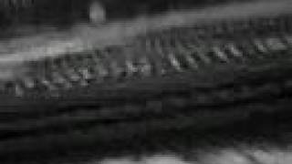 Trainsurfing Winter 2007