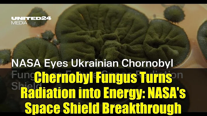 Chernobyl Fungus Turns Radiation into Energy: NASA's Space Shield Breakthrough