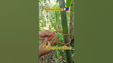 water bowline #knottying #shortsvideo #ytshorts #ropetutorial #tipsandtricks #bfp #rescue
