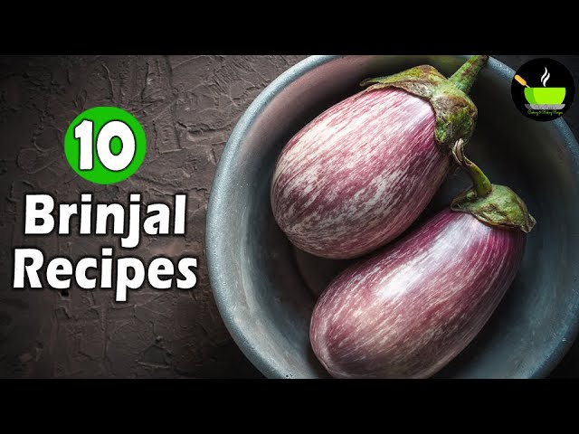 Top 10 Baingan Recipes | Brinjal Recipes | Best Brinjal Recipes | Easy Brinjal Recipes | Veg Recipes | She Cooks