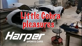 Building a Cobra from Scratch