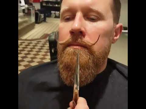 New Amazing Long Beard Style Beard Styles For Round Face Beard