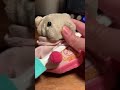 あややとぅーやー