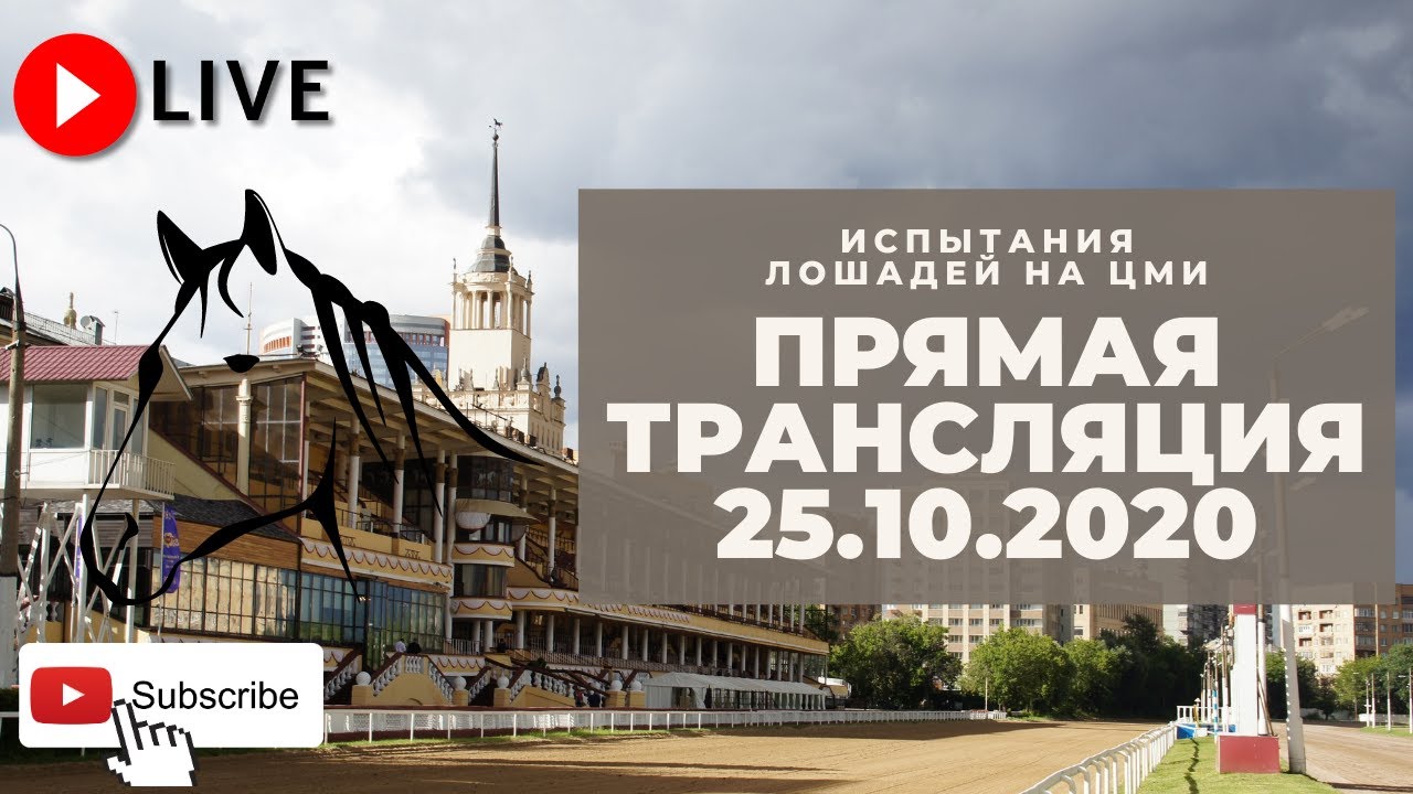 25.10.2020. Прямая трансляция с ЦМИ. Пора гандикапов.