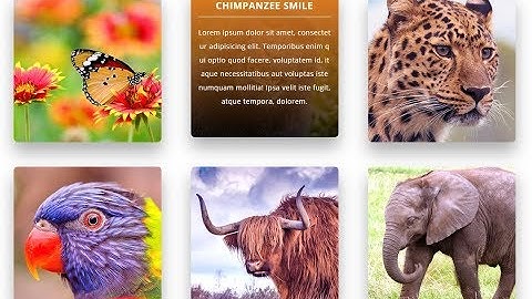 Pure CSS Hover Animation with Text Overlay