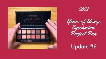 2023 Years of Usage Eyeshadow Project Pan | Update #6