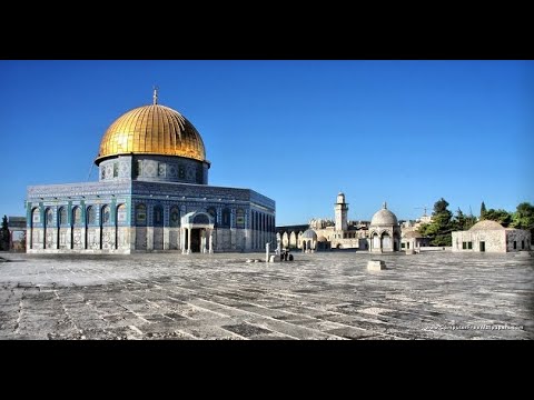 سورة التوبة القارئ محمد جبريل