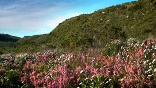 National Geographic Unique Lodges | Grootbos: Explore Your Destination