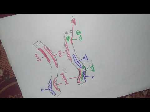 HOW TO DRAW