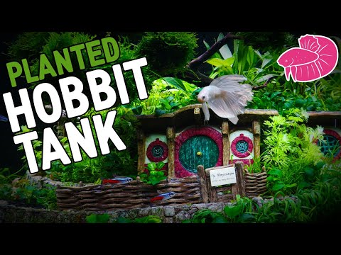 hobbit-themed-planted-aquarium!-lord-of-the-rings-aquascape
