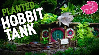 Hobbit Themed Planted Aquarium! Lord Of The Rings Aquascape