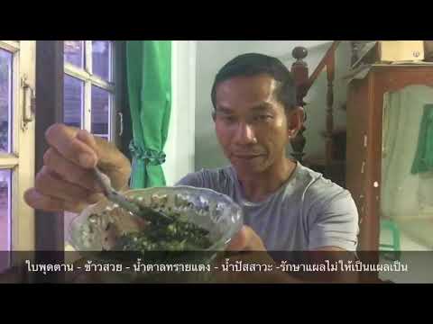 ไร้แผลเป็น ใช้ใบพุดตาน - ข้าวสวย - น้ำตาลทรายแดง - เหล้าขาว EP. 01 หายห่วงไร้แผลเป็น
