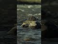 Согласны с Джеком Лондоном — автором этой цитаты?