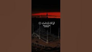 الآية 30 -31 من سورة فصلت #القرآن_الكريم #قران_كريم #قران #قرآن #قرآن_كريم #المغرب #اكسبلور #لايك
