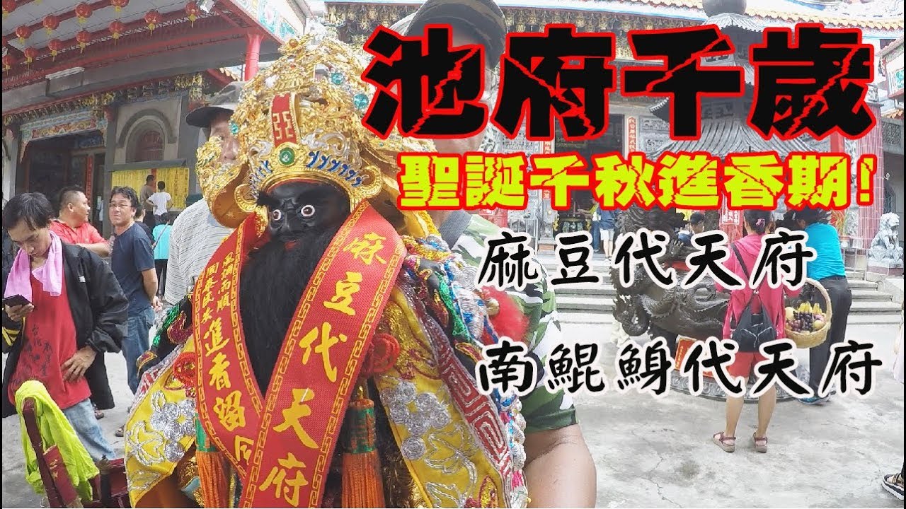 【蔡淘貴跑廟會】EP11 池府千歲進香期!!! 來去麻豆代天府x南鯤鯓代天府看熱鬧!! (更正內文:新莊的紅壇是威巡堂!不是威勝堂!)