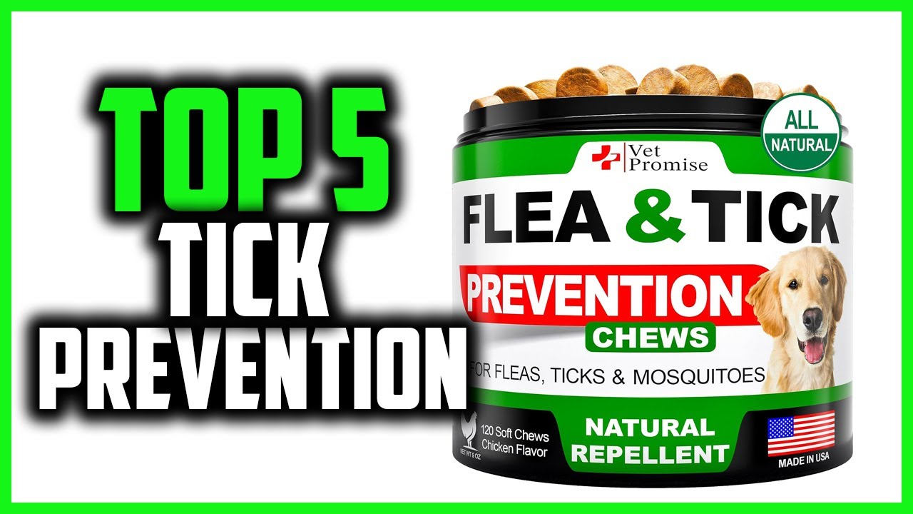 Best Tick Prevention For Dogs With Seizures
