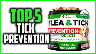 ✅Top 5 Best Tick Prevention for Dogs in 2024 by PetLabs 69 views 1 month ago 5 minutes, 37 seconds