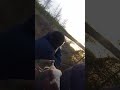 на охоте