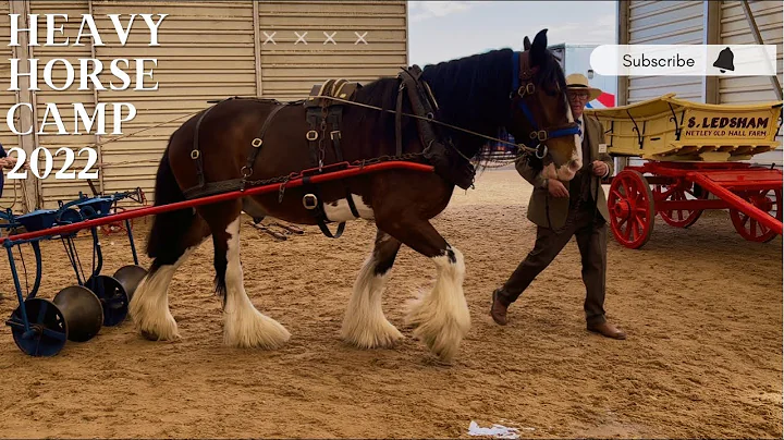 HEAVY HORSE CAMP 2022