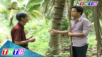 Cây lành trái ngọt “Dừa Bến Tre”