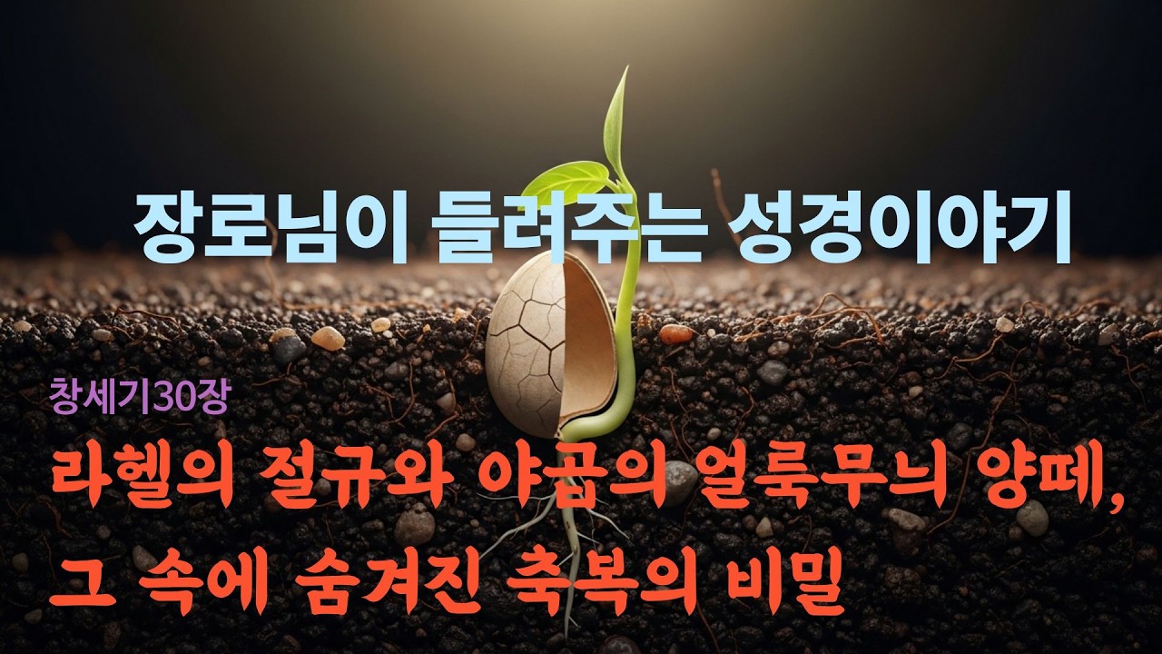 장로님이 들려주는 성경 이야기 - 창세기 30장 /기다림 속에서도 일하고 계시는 하나님