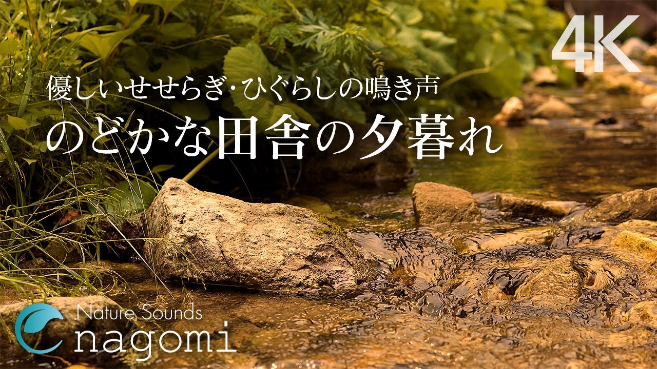 Звуки природы ручья в вечернее время для сна, учебы, медитации, лечения, релаксации