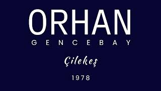 Orhan Gencebay Çilekeş Resimi