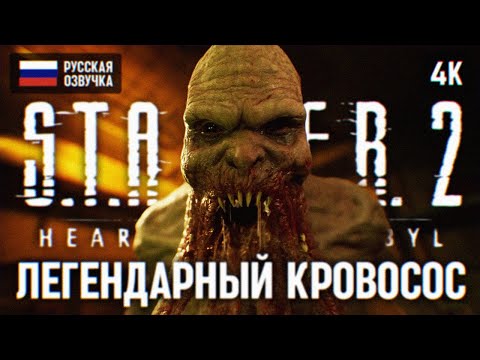 STALKER 2 ПРОХОЖДЕНИЕ НА РУССКОМ #2 [RTX 4090 4К] ? СТАЛКЕР 2 ПОЛНОЕ ПРОХОЖДЕНИЕ ОБЗОР ГЕЙМПЛЕЙ