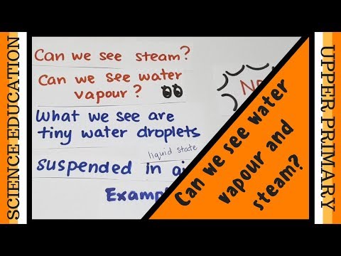What is the difference between water vapour and steam? (Science, Upper Block, Cycles: Water Cycle)