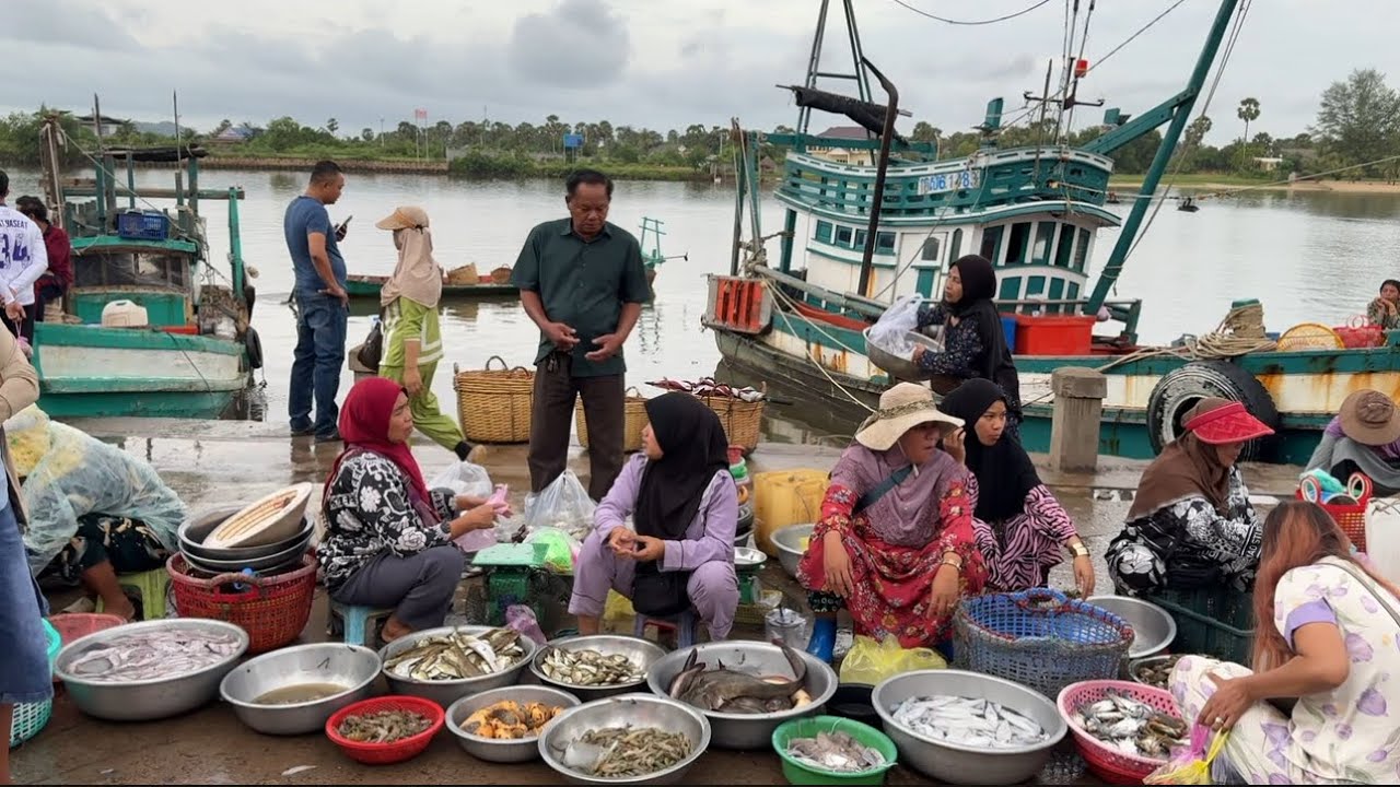 Fresh Fish Market at Sea Docks in Kampot Province, Cambodia